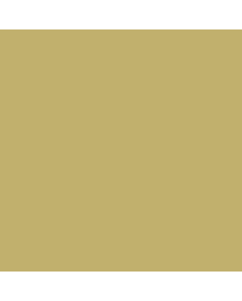 Faber-Castell Polychromos Pencil - #250 - Gold