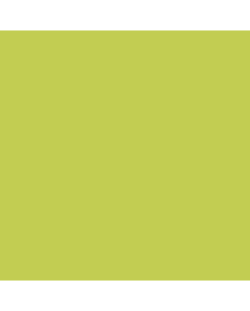 Sennelier Oil Pastels Individual La Grande - Green Yellow Light