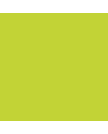 Caran d'Ache Neocolor II Crayon No. 730 - Chinese Green