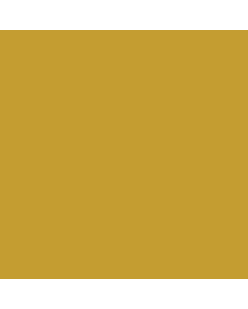 Caran d'Ache Pablo Pencil No. 025 - Green Ochre