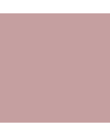 Caran d'Ache Museum Pencil - #3510.866 - Burnt Sienna 50%