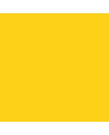 Winsor & Newton Galeria Acrylic 60ml - Cadmium Yellow Medium Hue