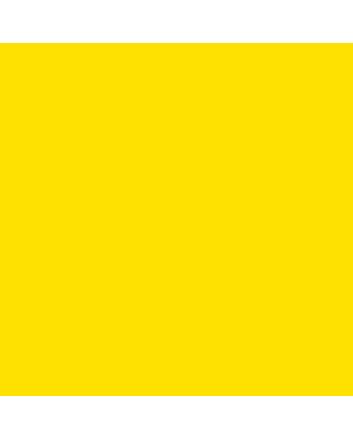 Winsor & Newton Cotman Watercolor - 8ml - Cadmium Yellow Pale Hue