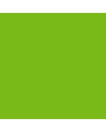 F+W Artist's Acrylic Ink 1oz 1oz - Light Green