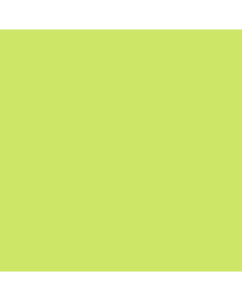 Caran d'Ache Museum Pencil - #3510.47 - Spring Green