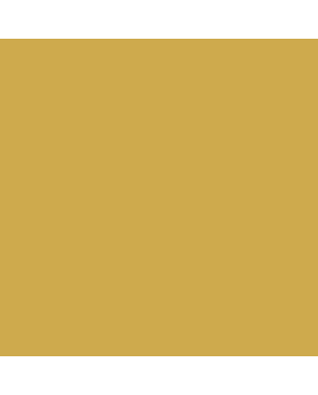 Caran d'Ache Neocolor I - Metallic Gold
