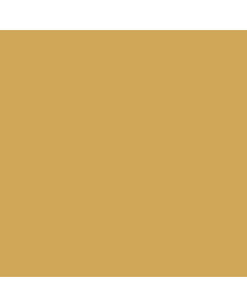 Williamsburg Handmade Oil Paint 150ml - Native Italian Yellow Ochre