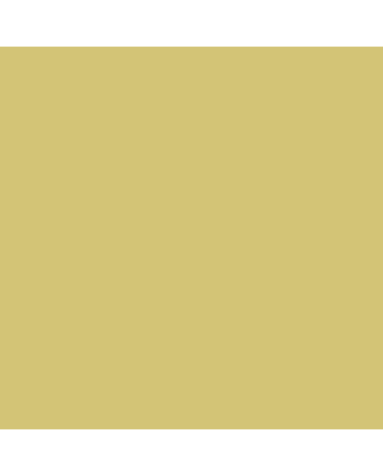 Caran d'Ache Neocolor II Crayon No. 033 - Golden Ochre