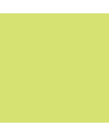 Copic Classic - YG25 - Celadon Green