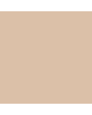 Tombow Dual Brush Pen No. 942 - Tan
