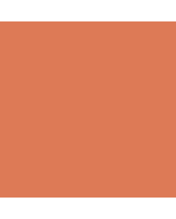 Rembrandt Soft Pastel Individual - Orange #235.8