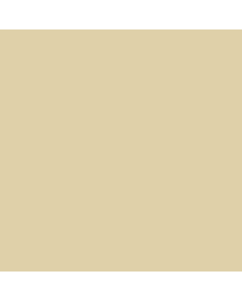 Art Spectrum Colourfix Pastel Primer - 250ml Jar - Rich Beige