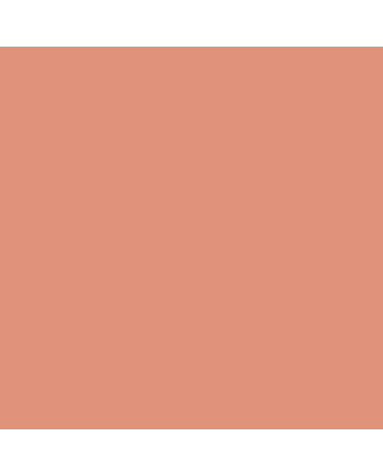 Caran d'Ache Museum Pencil - #3510.044 - Terracotta