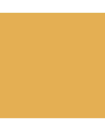 Caran d'Ache Museum Pencil - #3510.034 - Yellow Ochre