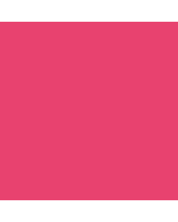 R&F Pigment Stick - 100ml - Warm Rose