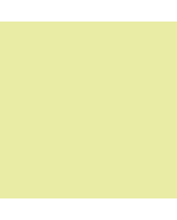 Caran d&#039;Ache Neocolor II Crayon No. 011 - Pale Yellow
