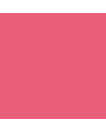 Caran d'Ache Neocolor II Crayon No. 280 - Ruby Red