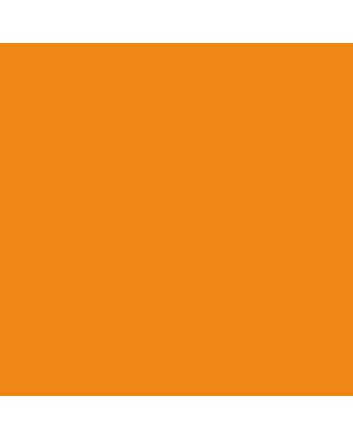 Caran d'Ache Neocolor II Crayon No. 030 - Orange