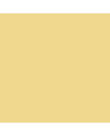 Copic Sketch - YR23 - Yellow Ochre