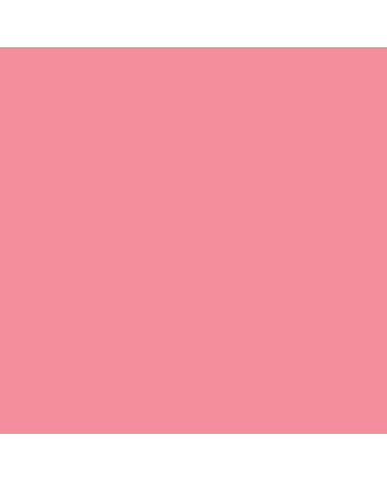 Caran d'Ache Neocolor II Crayon No. 081 - Pink