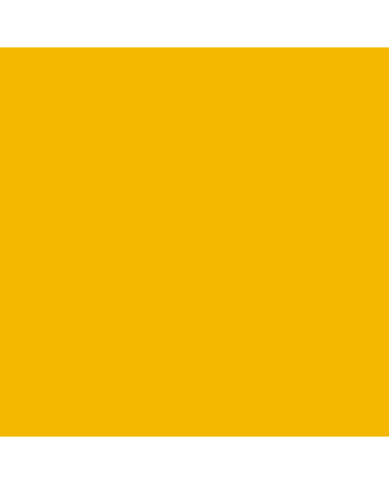 Faber-Castell Polychromos Pencil - #184 - Dark Naples Yellow