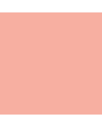Caran d'Ache Neocolor II Crayon No. 051 - Salmon