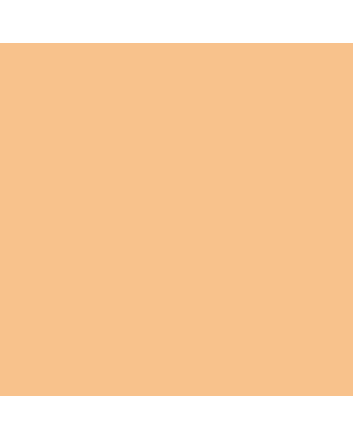 Copic Classic - E15 - Dark Suntan