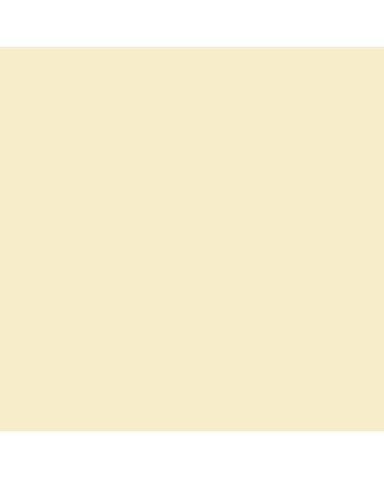 Copic Sketch - E53 - Raw Silk