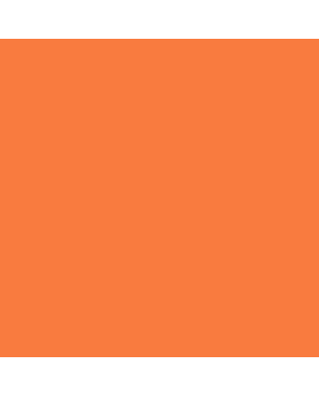 Caran d'Ache Neocolor II Crayon No. 050 - Flame Red