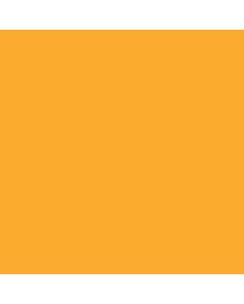 Caran d'Ache Neocolor II Crayon No. 020 - Golden Yellow