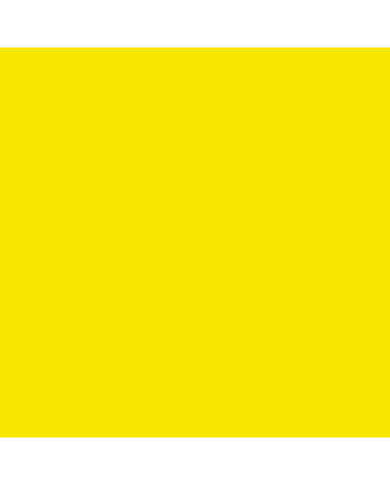 Tombow Dual Brush Pen No. 55 - Process Yellow