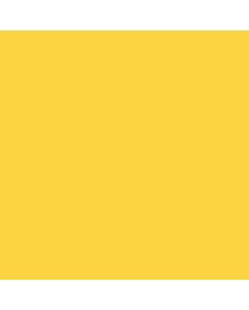 Caran d'Ache Neocolor I - Yellow