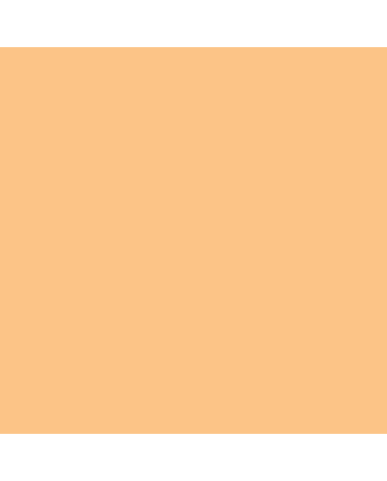 Caran d'Ache Neocolor II Crayon No. 031 - Orange Yellow