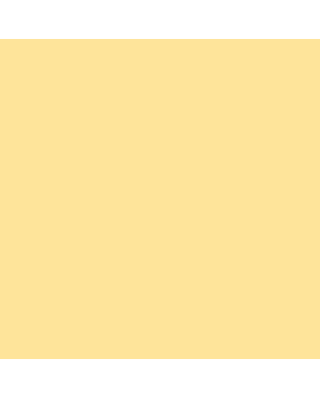 Tombow Dual Brush Pen No. 991 - Light Ochre