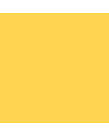 Caran d'Ache Pablo Pencil No. 010 - Yellow