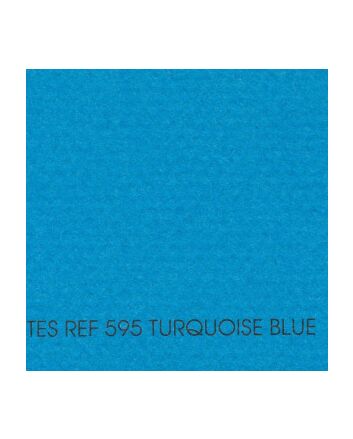 Canson Mi-Teintes Sheet 19x25 - Turquoise #595