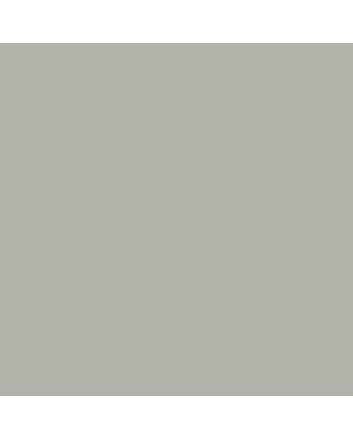 Montana BLACK Cans 400ml - Mouse - Matte