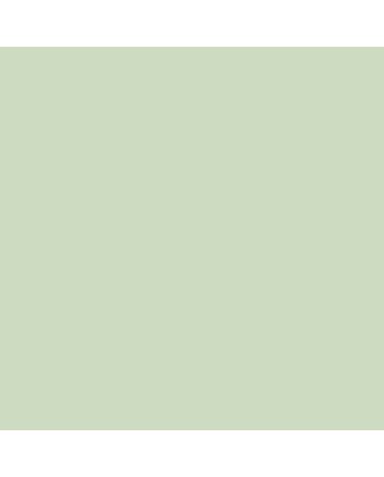 Caran d&#039;Ache Supracolor II Watercolor Pencil #401 - Ash Gray