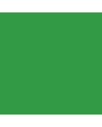 Caran d&#039;Ache Supracolor II Watercolor Pencil #210 - Emerald Green