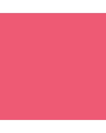 Caran d'Ache Pablo Pencil No. 270 - Raspberry Red