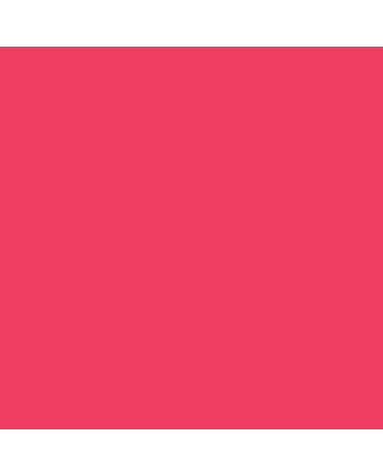 Caran d'Ache Pablo Pencil No. 280 - Ruby Red