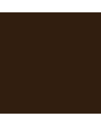 Gamblin Artist's Dry Pigment 4oz Jar - Raw Umber