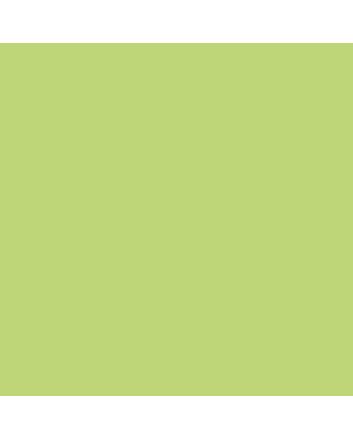 Montana BLACK Cans 400ml - Spring - Matte