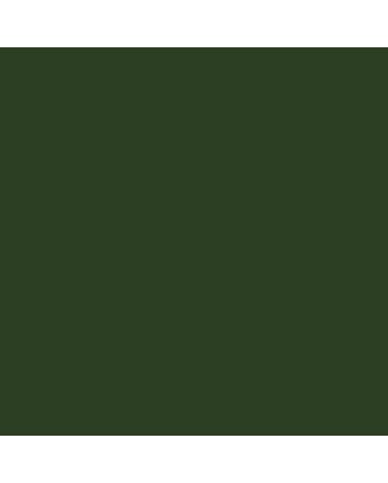 Montana BLACK Cans 400ml - Toad - Matte