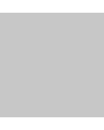 Montana GOLD Cans 400ml - WALL