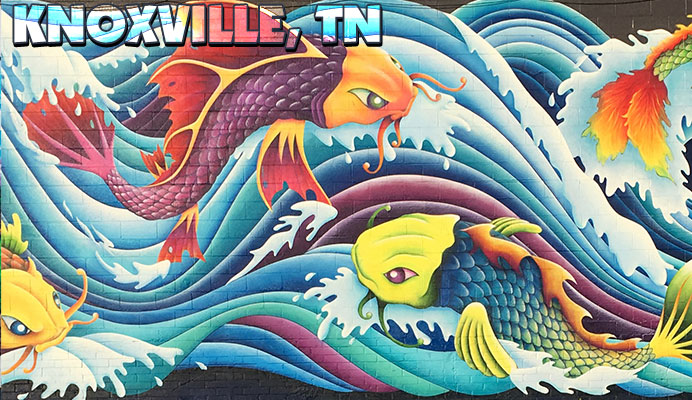 Knoxville, TN